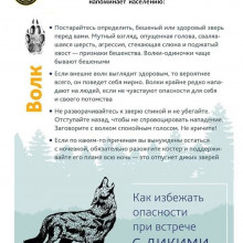 ПРАВИЛА ПОВЕДЕНИЯ ПРИ ВСТРЕЧЕ С ДИКИМИ ЖИВОТНЫМИ