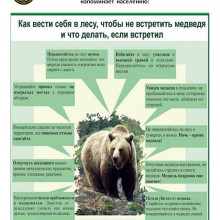 ПРАВИЛА ПОВЕДЕНИЯ ПРИ ВСТРЕЧЕ С ДИКИМИ ЖИВОТНЫМИ