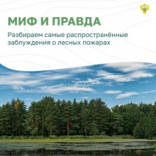 ЛЕСНЫЕ ПОЖАРЫ