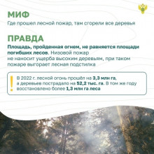 ЛЕСНЫЕ ПОЖАРЫ