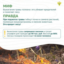 ЛЕСНЫЕ ПОЖАРЫ