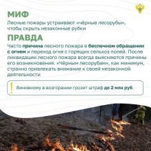 ЛЕСНЫЕ ПОЖАРЫ