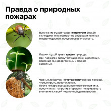 Правила пожарной безопасности